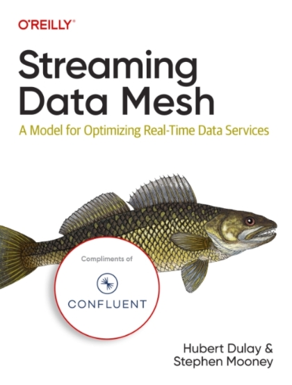 Streaming Data Mesh - Hubert Dulay and Stephen Mooney.jpg