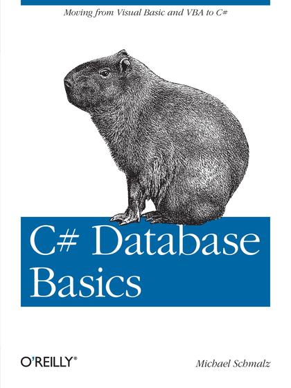 C# Database Basics - Michael Schmalz.jpg