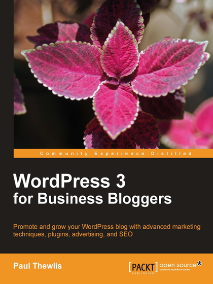 WordPress 3 for Business Bloggers - Paul Thewlis.jpg