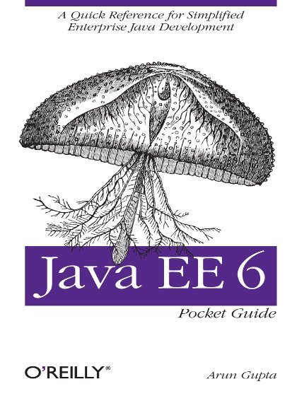 Java EE 6 Pocket Guide - Arun Gupta.jpg