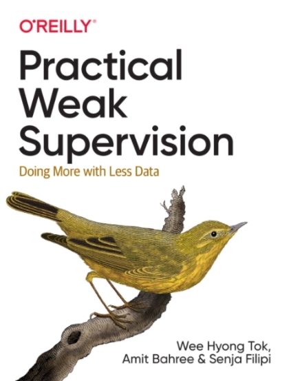 Practical Weak Supervision - Wee Hyong Tok, Amit Bahree, and Senja Filipi.jpg