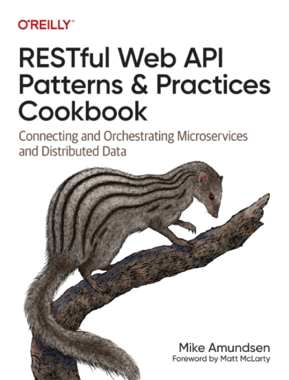 RESTful Web API Patterns and Practices Cookbook - Mike Amundsen.jpg