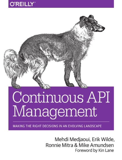 Continuous API Management - Mehdi Medjaoui, Erik Wilde, Ronnie Mitra and Mike Amundsen.jpg