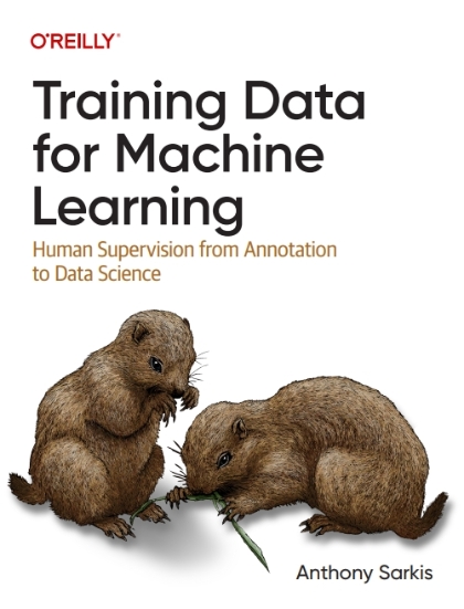 Training Data for Machine Learning - Anthony Sarkis.jpg