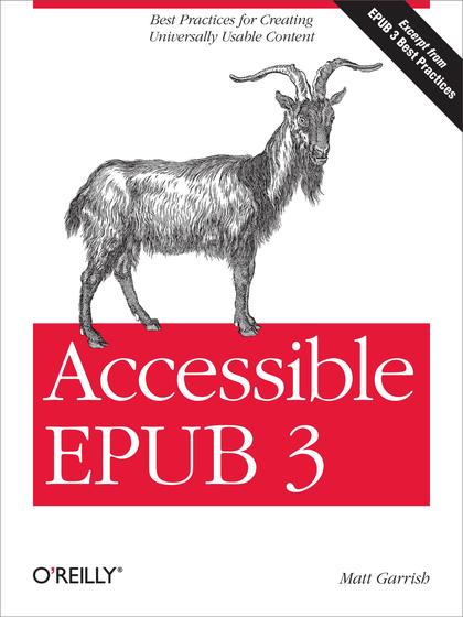 Accessible EPUB 3 - Matt Garrish.jpg