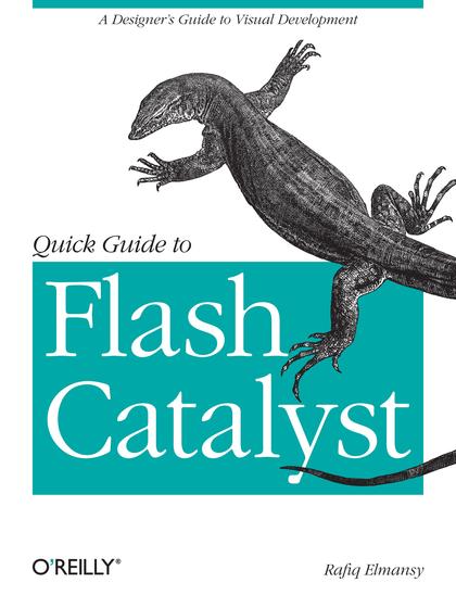 Quick Guide to Flash Catalyst - Rafiq Elmansy.jpg