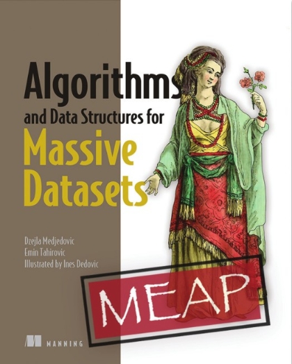 Algorithms and Data Structures for Massive Datasets MEAP Edition - Dzejla Medjedovic.jpg