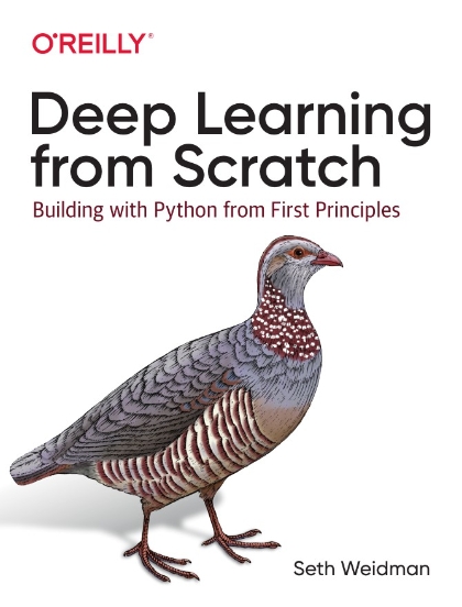 Deep Learning from Scratch - Seth Weidman.jpg