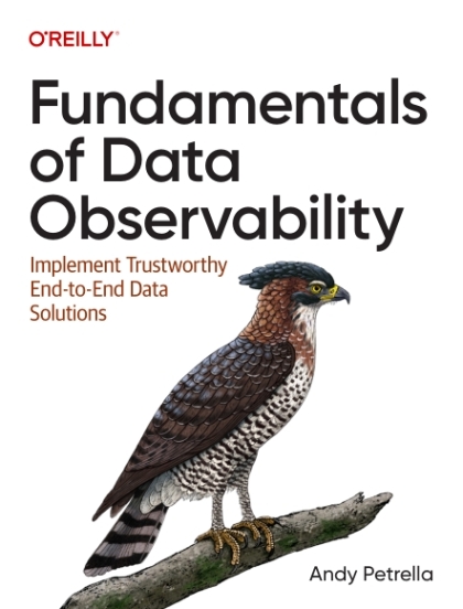 Fundamentals of Data Observability - Andy Petrella.jpg